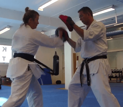 Makotokai Karate