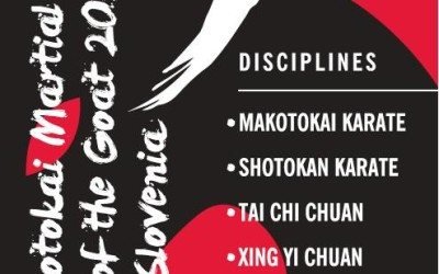 Sommerleir i Slovenia 2015