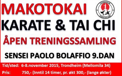Treningssamling med Paolo Bolaffio 9.dan 6-8.november 2015