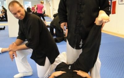 Oppsummering (Tai Chi) fra samlingen med Paolo Bolaffio høsten 2014