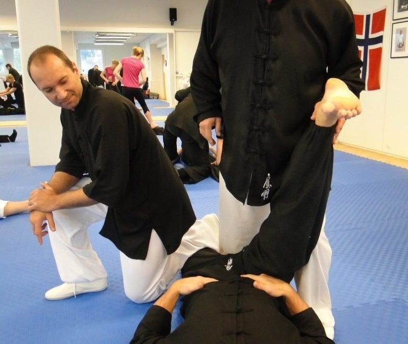 Oppsummering (Tai Chi) fra samlingen med Paolo Bolaffio høsten 2014