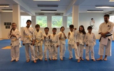 Sommergradering 2015