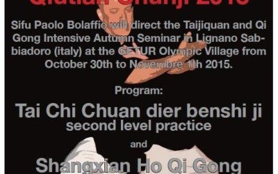 Deltakelse på Tai Chi Maraton