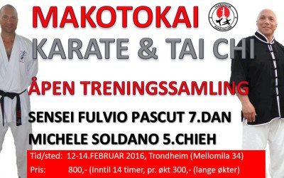 Åpen treningsamling med Fulvio Pascut 7.dan og Michele Soldano 5.chieh 12-14.feb 2016