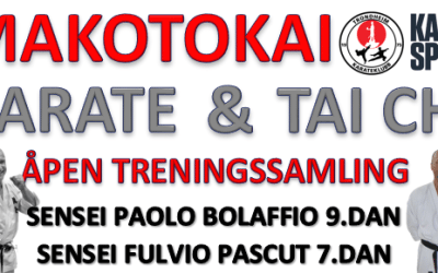 Samling med Paolo Bolaffio 9.dan og Fulvio Pascut 7.dan  1-3.april 2016