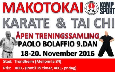 Samling med Paolo Bolaffio 9.dan 18-20.Nov 2016