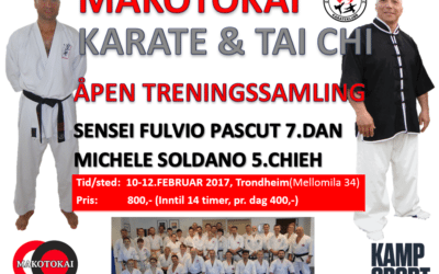 Makotokaisamling 10-12.feb 2017 med Fulvio Pascut 7.dan og Michele Soldano 5.chieh