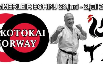 Innkvartering for sommerleiren i Bohinj 2017