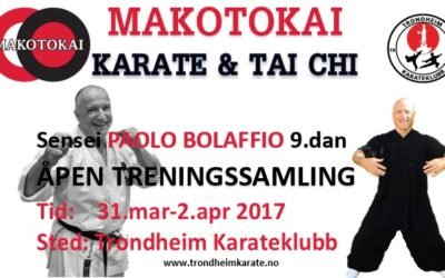 Samling med Sensei Paolo Bolaffio 9.dan (31.mars-2.april)