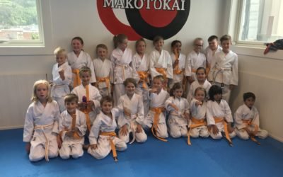 Graderingsresultater fra sommergraderingen 2018