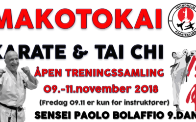 Åpen treningssamling med Paolo Bolaffio 9.dan